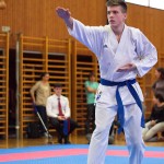 des "Shiai Karate Do" Vereins Wien