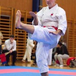 des "Shiai Karate Do" Vereins Wien