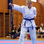 des "Shiai Karate Do" Vereins Wien