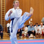 des "Shiai Karate Do" Vereins Wien