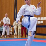 des "Shiai Karate Do" Vereins Wien