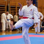 des "Shiai Karate Do" Vereins Wien