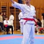 des "Shiai Karate Do" Vereins Wien