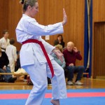 des "Shiai Karate Do" Vereins Wien