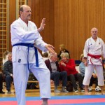 des "Shiai Karate Do" Vereins Wien