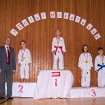 des "Shiai Karate Do" Vereins Wien