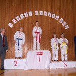 des "Shiai Karate Do" Vereins Wien