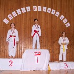 des "Shiai Karate Do" Vereins Wien