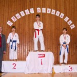 des "Shiai Karate Do" Vereins Wien