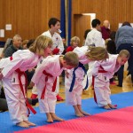 des "Shiai Karate Do" Vereins Wien