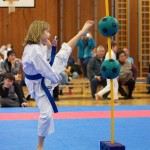 des "Shiai Karate Do" Vereins Wien