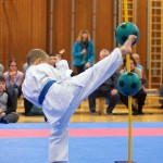 des "Shiai Karate Do" Vereins Wien