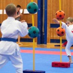 des "Shiai Karate Do" Vereins Wien