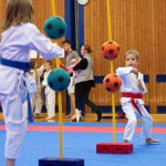 des "Shiai Karate Do" Vereins Wien