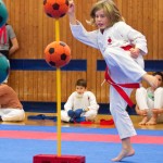 des "Shiai Karate Do" Vereins Wien