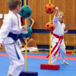 des "Shiai Karate Do" Vereins Wien