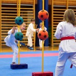 des "Shiai Karate Do" Vereins Wien