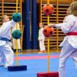 des "Shiai Karate Do" Vereins Wien