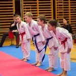 des "Shiai Karate Do" Vereins Wien