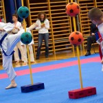 des "Shiai Karate Do" Vereins Wien