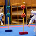 des "Shiai Karate Do" Vereins Wien