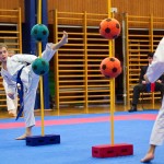 des "Shiai Karate Do" Vereins Wien