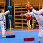 des "Shiai Karate Do" Vereins Wien