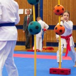 des "Shiai Karate Do" Vereins Wien