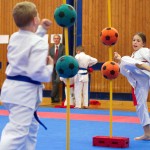 des "Shiai Karate Do" Vereins Wien