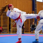 des "Shiai Karate Do" Vereins Wien