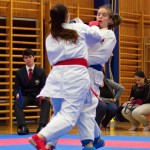 des "Shiai Karate Do" Vereins Wien