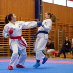 des "Shiai Karate Do" Vereins Wien