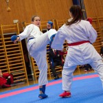 des "Shiai Karate Do" Vereins Wien