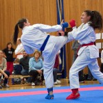 des "Shiai Karate Do" Vereins Wien