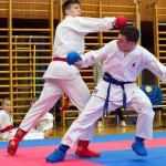 des "Shiai Karate Do" Vereins Wien