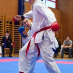 des "Shiai Karate Do" Vereins Wien