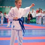 ASKÖ Wiener Karate Landesmeisterschaft 2016 in der Bernoullistraße 9, 1220 Wien