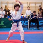 ASKÖ Wiener Karate Landesmeisterschaft 2016 in der Bernoullistraße 9, 1220 Wien