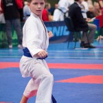 ASKÖ Wiener Karate Landesmeisterschaft 2016 in der Bernoullistraße 9, 1220 Wien