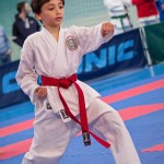 ASKÖ Wiener Karate Landesmeisterschaft 2016 in der Bernoullistraße 9, 1220 Wien