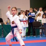 ASKÖ Wiener Karate Landesmeisterschaft 2016 in der Bernoullistraße 9, 1220 Wien