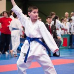 ASKÖ Wiener Karate Landesmeisterschaft 2016 in der Bernoullistraße 9, 1220 Wien