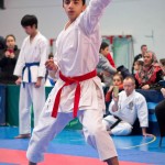 ASKÖ Wiener Karate Landesmeisterschaft 2016 in der Bernoullistraße 9, 1220 Wien