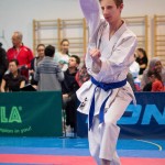 ASKÖ Wiener Karate Landesmeisterschaft 2016 in der Bernoullistraße 9, 1220 Wien