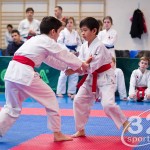 ASKÖ Wiener Karate Landesmeisterschaft 2016 in der Bernoullistraße 9, 1220 Wien