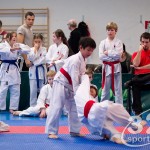 ASKÖ Wiener Karate Landesmeisterschaft 2016 in der Bernoullistraße 9, 1220 Wien