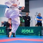 ASKÖ Wiener Karate Landesmeisterschaft 2016 in der Bernoullistraße 9, 1220 Wien