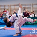 ASKÖ Wiener Karate Landesmeisterschaft 2016 in der Bernoullistraße 9, 1220 Wien