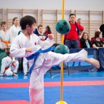 ASKÖ Wiener Karate Landesmeisterschaft 2016 in der Bernoullistraße 9, 1220 Wien