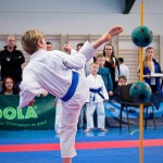 ASKÖ Wiener Karate Landesmeisterschaft 2016 in der Bernoullistraße 9, 1220 Wien